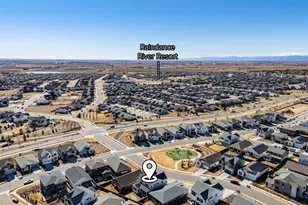 1875 Blossom Grove Dr, Windsor, CO 80550 - Photo 46