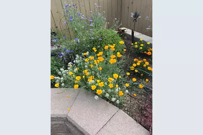 6992 Meadow Rain Way, Wellington, CO 80549 - Photo 42