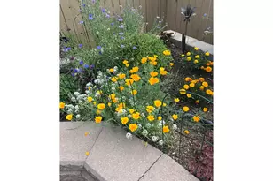 6992 Meadow Rain Way, Wellington, CO 80549 - Photo 42