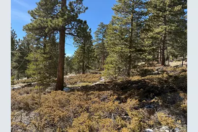 711 Osage Trl, Red Feather Lakes, CO 80545 - Photo 16