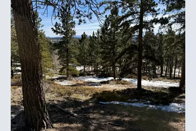 711 Osage Trl, Red Feather Lakes, CO 80545 - Photo 4
