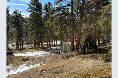 711 Osage Trl, Red Feather Lakes, CO 80545 - Photo 8