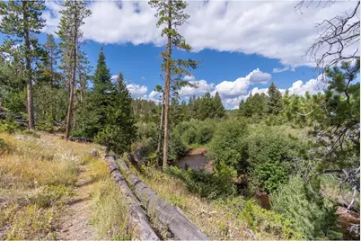534 Blackfoot Rd, Red Feather Lakes, CO 80545 - Photo 14