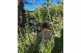 534 Blackfoot Rd, Red Feather Lakes, CO 80545 - Photo 48