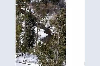 534 Blackfoot Rd, Red Feather Lakes, CO 80545 - Photo 16