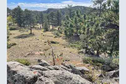 123 Tahlequah Way, Red Feather Lakes, CO 80545 - Photo 42