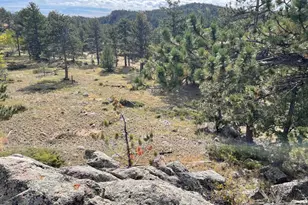 123 Tahlequah Way, Red Feather Lakes, CO 80545 - Photo 42