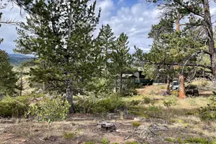 123 Tahlequah Way, Red Feather Lakes, CO 80545 - Photo 40