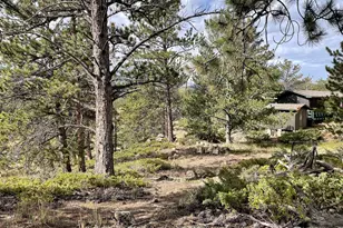 123 Tahlequah Way, Red Feather Lakes, CO 80545 - Photo 36