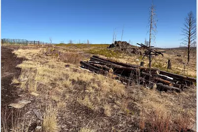 28 Agate Ct, Bellvue, CO 80512 - Photo 14