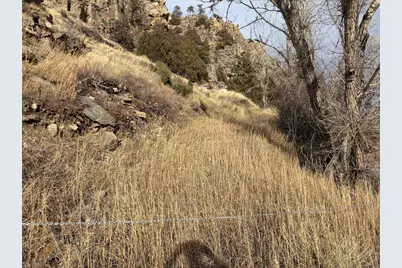 32370 Poudre Canyon Rd, Bellvue, CO 80512 - Photo 8