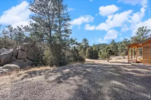151 Mt Massive Dr, Livermore, CO 80536 - Photo 30