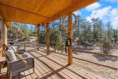 151 Mount Massive Dr, Livermore, CO 80536 - Photo 26