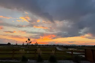 240 Hillspire Dr, Windsor, CO 80550 - Photo 46