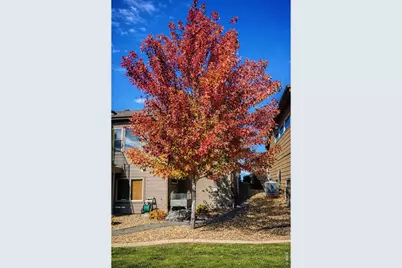 3560 Peruvian Torch Dr, Loveland, CO 80537 - Photo 36