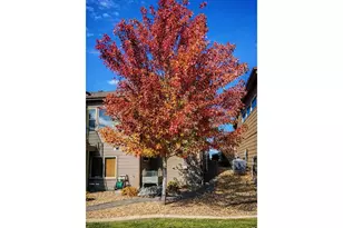 3560 Peruvian Torch Dr, Loveland, CO 80537 - Photo 36