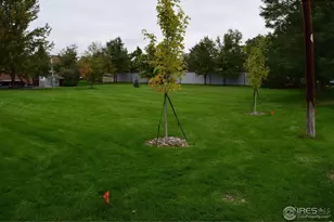 1611 Garfield Ave, Louisville, CO 80027 - Photo 20