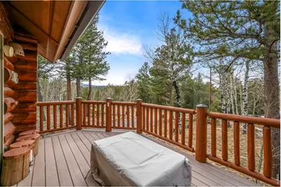 365 Overland Dr, Ward, CO 80481 - Photo 4