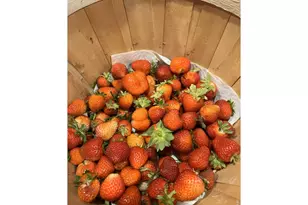 14804 Co Rd 7, Mead, CO 80542 - Photo 50