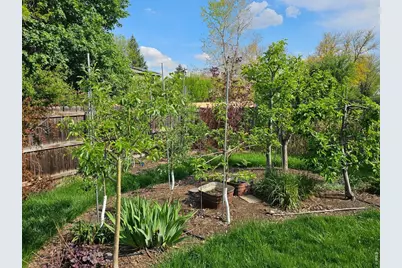 1640 Juniper St, Longmont, CO 80501 - Photo 28