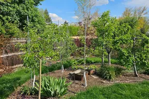 1640 Juniper St, Longmont, CO 80501 - Photo 28