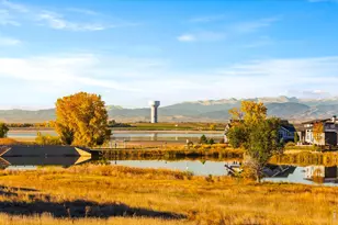 6902 White Snow Ct, Timnath, CO 80547 - Photo 38