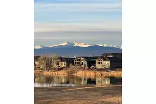 6902 White Snow Ct, Timnath, CO 80547 - Photo 42