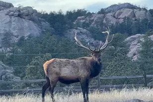 1114 & 1115 Vision Way, Lyons, CO 80540 - Photo 16