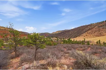 1114 & 1115 Vision Way, Lyons, CO 80540 - Photo 6
