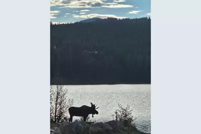 246 Panamint Way, Red Feather Lakes, CO 80545 - Photo 38