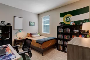 908 Rollins Den Dr, Fort Collins, CO 80524 - Photo 28