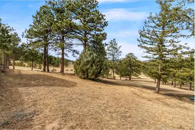 419 Ute Peak Dr, Livermore, CO 80536 - Photo 36