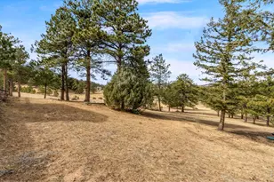 419 Ute Peak Dr, Livermore, CO 80536 - Photo 36