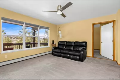 419 Ute Peak Dr, Livermore, CO 80536 - Photo 12