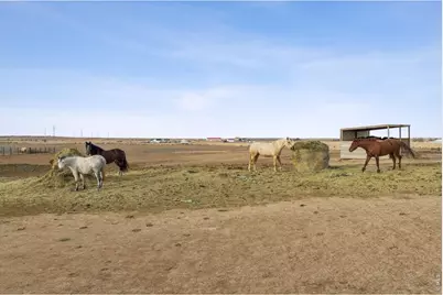 13013 County Road 86, Pierce, CO 80650 - Photo 32