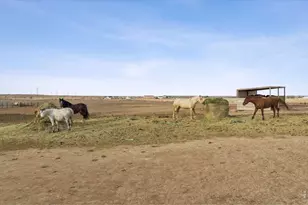 13013 Co Rd 86, Pierce, CO 80650 - Photo 32