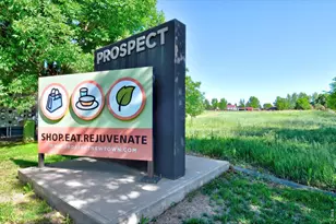 900 Half Measures Dr, Longmont, CO 80504 - Photo 38