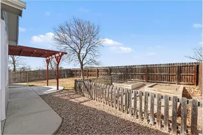 205 Windflower Way, Severance, CO 80550 - Photo 20