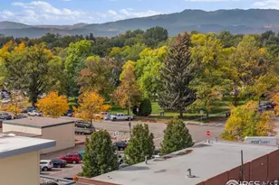 204 Maple St, Fort Collins, CO 80521 - Photo 36