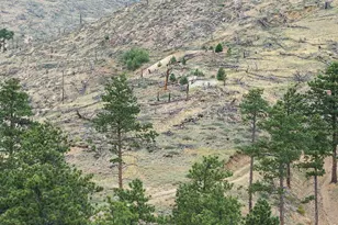6319 Sunshine Canyon Dr, Boulder, CO 80302 - Photo 20