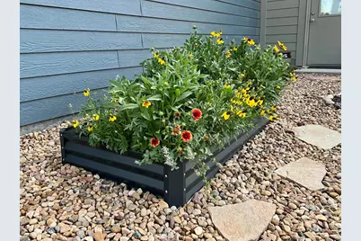 2145 Lambic St, Fort Collins, CO 80524 - Photo 36