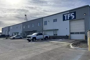 583 Gyrfalcon Ct, Windsor, CO 80550 - Photo 1