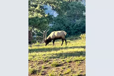 318 Overlook Ct, Estes Park, CO 80517 - Photo 44