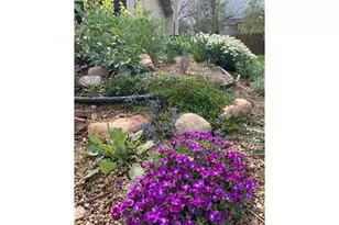 1111 Utica Cir, Boulder, CO 80304 - Photo 40