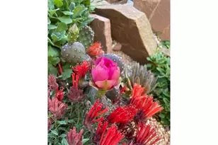 1111 Utica Cir, Boulder, CO 80304 - Photo 38