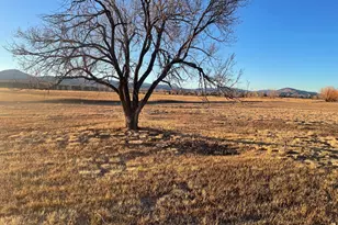 2767 S County Rd 21, Loveland, CO 80537 - Photo 34