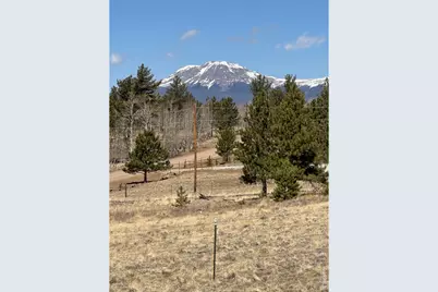 2841 Singletree Rd, Hartsel, CO 80449 - Photo 1