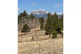 2841 Singletree Rd, Hartsel, CO 80449 - Photo 1