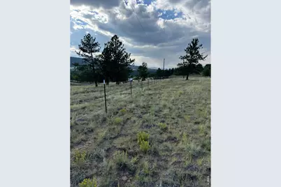 2841 Singletree Rd, Hartsel, CO 80449 - Photo 8