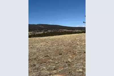 2841 Singletree Rd, Hartsel, CO 80449 - Photo 22